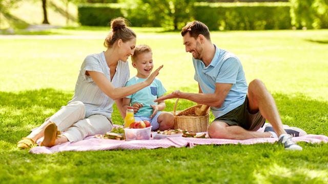 Family on a picnic